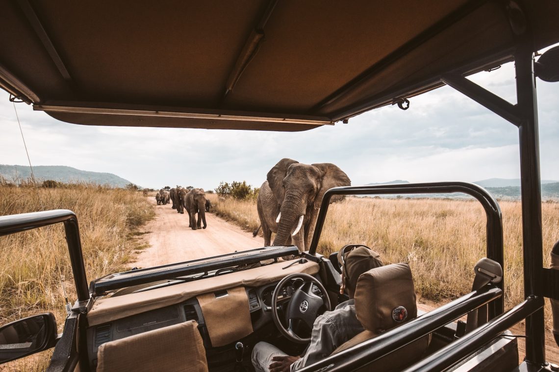 safari en Namibie