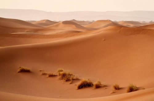 Les merveilles cachées du désert algérien