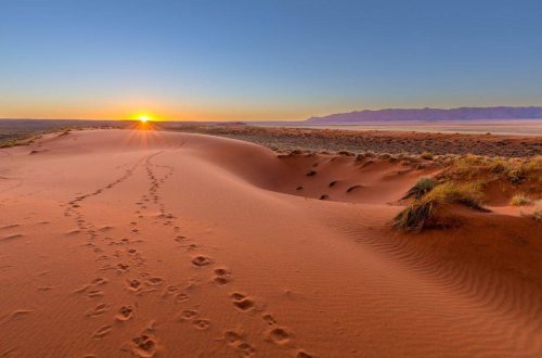 Voyage en Namibie : les incontournables à découvrir absolument