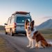 Voyager en van avec un chien : conseils pratiques pour une aventure réussie avec votre compagnon à quatre pattes