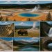 Yellowstone paysage : 7 panoramas incontournables à découvrir
