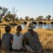 Voyage famille Botswana : le guide complet pour organiser un séjour sur mesure avec Hors Pistes afrique australe