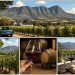 Afrique du Sud route des vins : itinéraire et conseils pour un voyage inoubliable