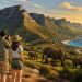 Meilleure période pour aller en Afrique du Sud : quand partir selon les régions ?