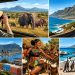 Afrique du Sud en février : que voir et que faire entre safari, road trip et immersion culturelle