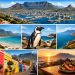 Visiter le Cap : les incontournables pour un voyage inoubliable
